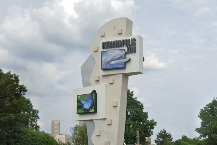 Chimpanzee Escapes Enclosure at Indianapolis Zoo, Prompting Emergency Response and Shelter-in-Place for Visitors