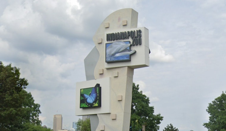 Chimpanzee Escapes Enclosure at Indianapolis Zoo, Prompting Emergency Response and Shelter-in-Place for Visitors