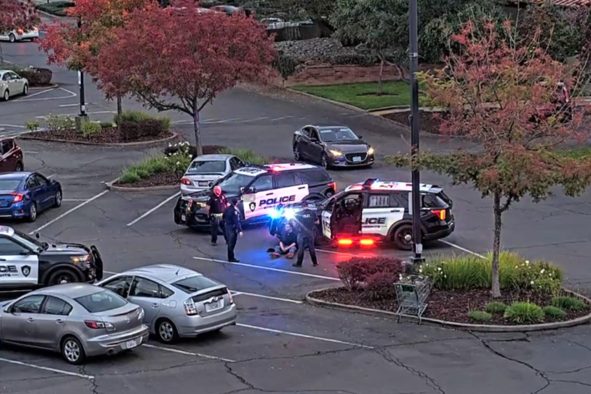 Citrus Heights Police Nab Hit-and-Run Suspect with Aid of