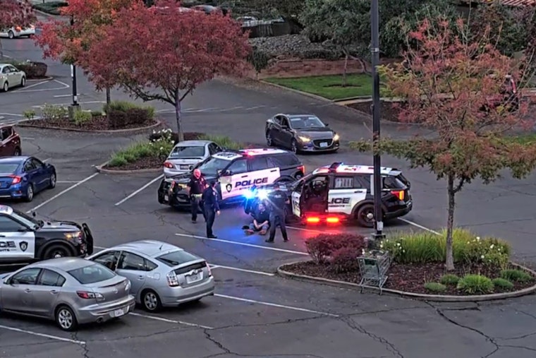 Citrus Heights Police Nab Hit-and-Run Suspect with Aid of Crime-Fighting Cameras, Auto Theft Halved