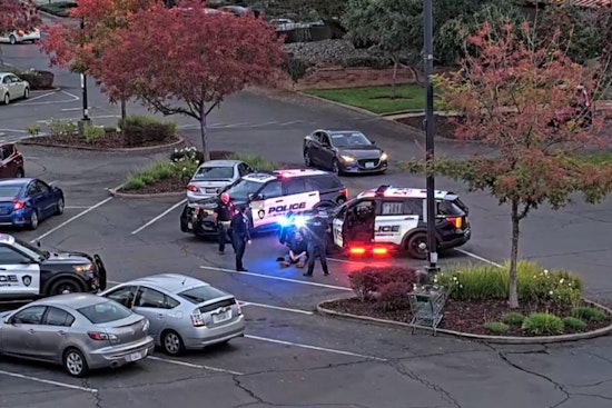 Citrus Heights Police Nab Hit-and-Run Suspect with Aid of Crime-Fighting Cameras, Auto Theft Halved