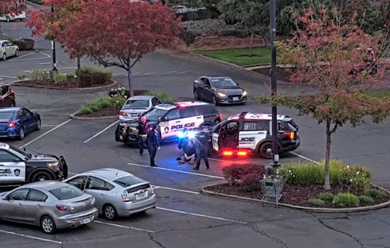 Citrus Heights Police Nab Hit-and-Run Suspect with Aid of Crime-Fighting Cameras, Auto Theft Halved