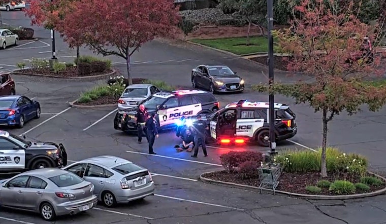 Citrus Heights Police Nab Hit-and-Run Suspect with Aid of Crime-Fighting Cameras, Auto Theft Halved
