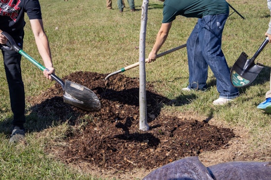 Clarksville Celebrates 36th Year as Tree City USA, Receives Growth Award for Eco-Friendly Practices