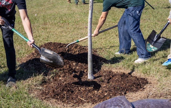 Clarksville Celebrates 36th Year as Tree City USA, Receives Growth Award for Eco-Friendly Practices