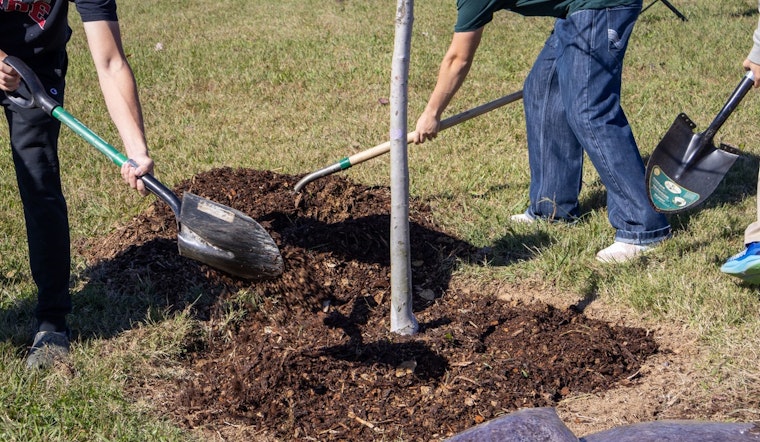 Clarksville Celebrates 36th Year as Tree City USA, Receives Growth Award for Eco-Friendly Practices