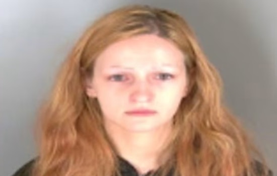 Clinton Township Woman Found Guilty of Attempted Murder After Stabbing Boyfriend 14 Times