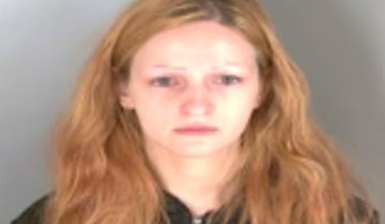Clinton Township Woman Found Guilty of Attempted Murder After Stabbing Boyfriend 14 Times