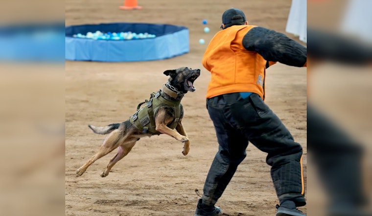 Coconino County's Corporal Waibel and K9 Dex Triumph at 2025 Desert Dog K9 Trials in Scottsdale