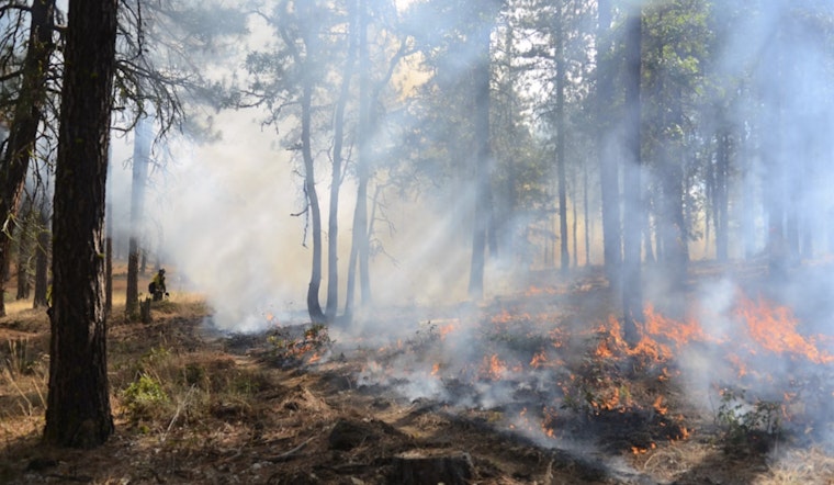 Coconino National Forest to Conduct Prescribed Burns Near Flagstaff and Sedona Next Week