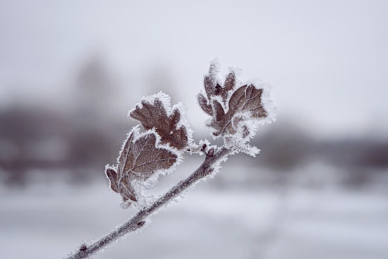 Cold Snap Hits D.C. Area on Veterans Day with Chilling Temperatures and Gale Warnings