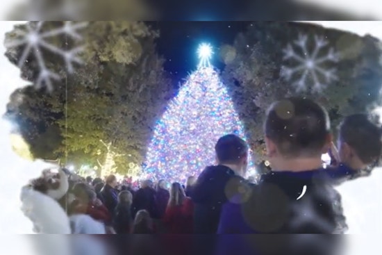 Collierville to Ignite Festive Spirit with Annual Christmas Tree Lighting and Live Concert