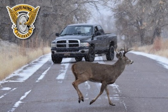 Colorado Drivers Alerted to Increased Wildlife Collisions in November, Urged to Exercise Caution