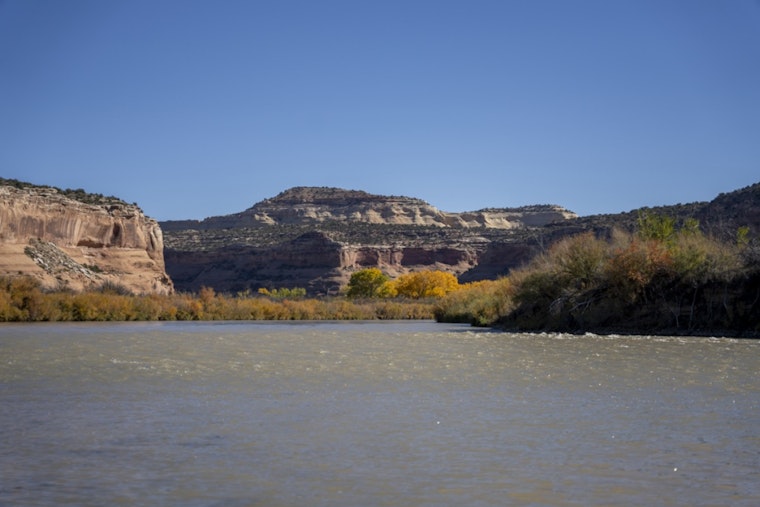 Colorado River Faces Ecological Threat as Zebra Mussels Detected, CPW Rallies Public Support for Prevention