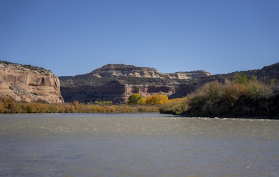 Colorado River Faces Ecological Threat as Zebra Mussels Detected, CPW Rallies Public Support for Prevention