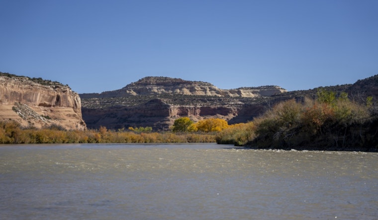 Colorado River Faces Ecological Threat as Zebra Mussels Detected, CPW Rallies Public Support for Prevention