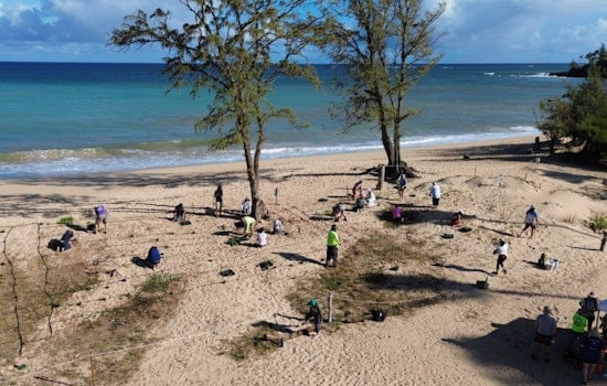 Community and County Unite to Plant 900 Native Species for Maui Shoreline Resilience