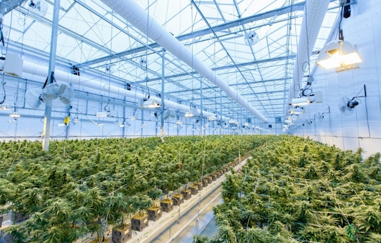 Congress Closes THC Loophole Stemming from 2018 Farm Bill, Bolstering Regulation Nationwide