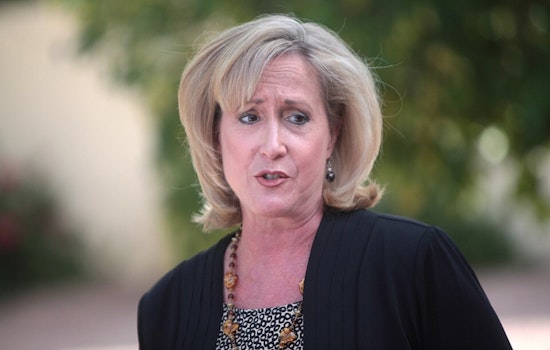Congresswoman Ann Wagner Champions Unveiling of Epstein Scandal, Votes to Release Incriminating Files
