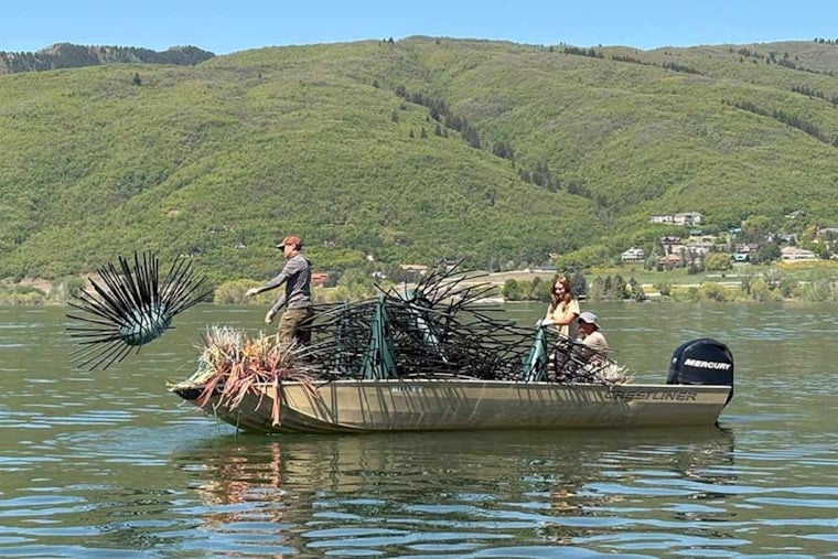 Conservationists Install Artificial Fish Habitats to Revitalize Utah Reservoirs and Support Angling Economy