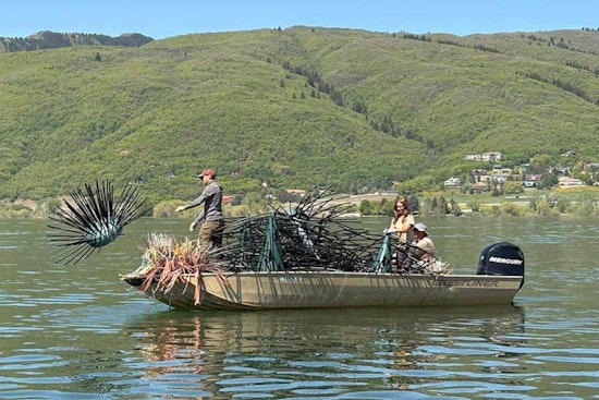 Conservationists Install Artificial Fish Habitats to Revitalize Utah Reservoirs and Support Angling Economy