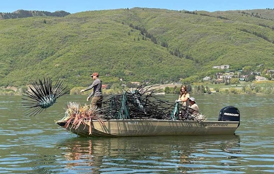 Conservationists Install Artificial Fish Habitats to Revitalize Utah Reservoirs and Support Angling Economy