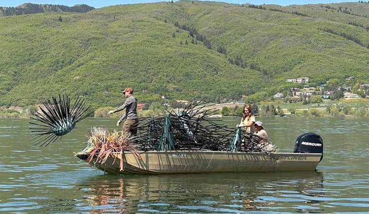 Conservationists Install Artificial Fish Habitats to Revitalize Utah Reservoirs and Support Angling Economy