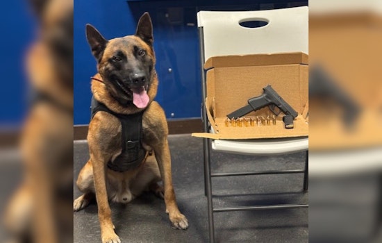 Convicted Felon Arrested on Weapons Charges After Santa Rosa Traffic Stop Involving K-9 Assistance