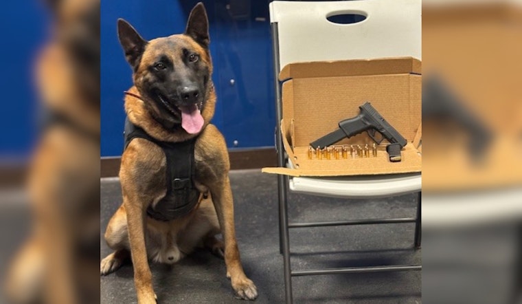 Convicted Felon Arrested on Weapons Charges After Santa Rosa Traffic Stop Involving K-9 Assistance