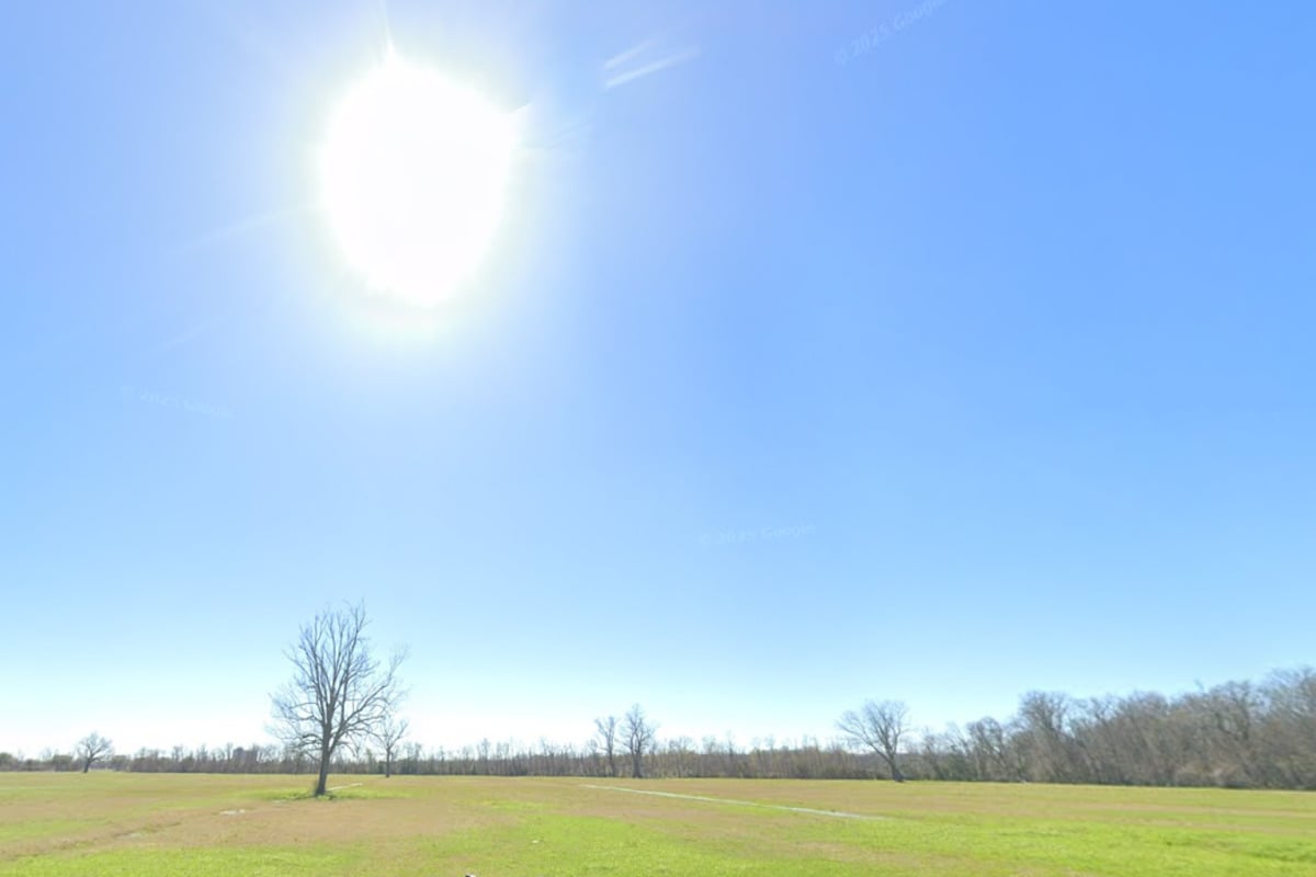 New Orleans Thanksgiving forecast New Orleans Thanksgiving forecast