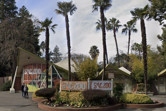 Dan Simon Takes the Reins as New CEO of Sacramento Zoo with Plans for Expansion and Evolution