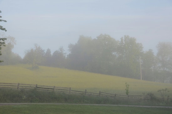 Dense Fog Advisory Issued for New Orleans Region, Motorists Urged to Exercise Caution Until Saturday Morning