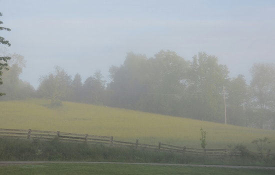 Dense Fog Advisory Issued for New Orleans Region, Motorists Urged to Exercise Caution Until Saturday Morning