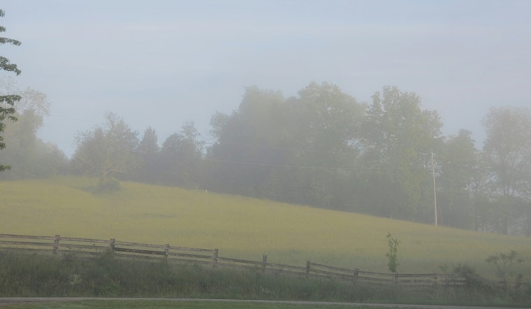 Dense Fog Advisory Issued for New Orleans Region, Motorists Urged to Exercise Caution Until Saturday Morning