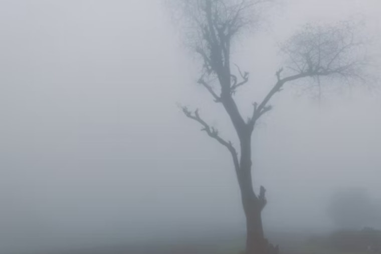 Dense Fog Advisory Issued for Ohio and Kentucky, Drastic Weather Changes Ahead