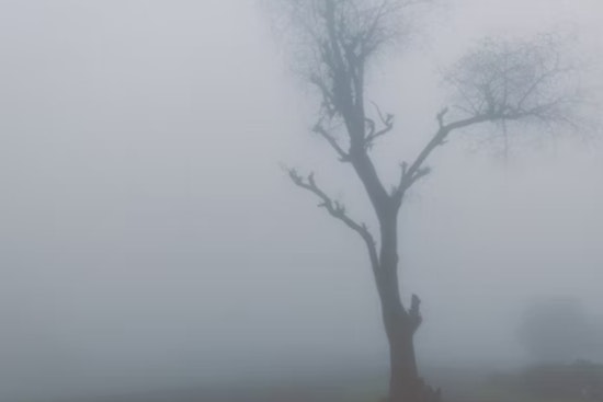 Dense Fog Advisory Issued for Ohio and Kentucky, Drastic Weather Changes Ahead