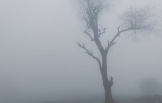 Dense Fog Advisory Issued for Ohio and Kentucky, Drastic Weather Changes Ahead