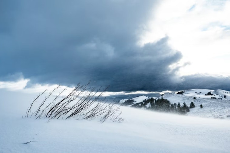 Denver Braces for Cold Snap: Snow and Wind Gusts Up to 31mph Expected