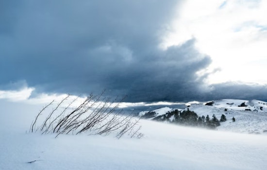 Denver Braces for Cold Snap: Snow and Wind Gusts Up to 31mph Expected