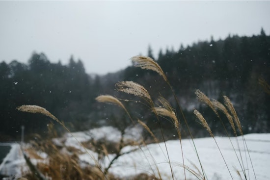 Denver Braces for Strong Winds and Snow, NWS Issues Weather Alert for Front Range and Summit County