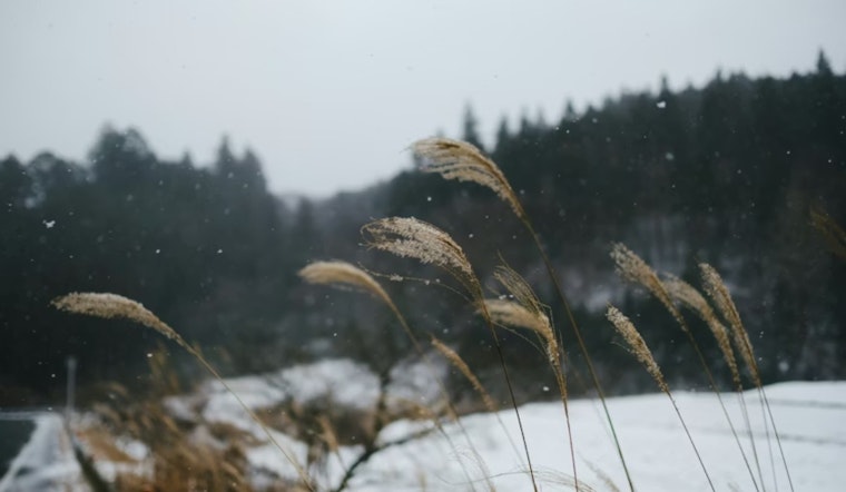 Denver Braces for Strong Winds and Snow, NWS Issues Weather Alert for Front Range and Summit County