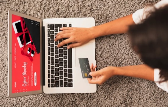 Denver Police Issue Online Shopping Safety Tips Ahead of Holiday Season