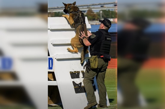 Deputy Adams and K9 Mak Represent Clay County with Pride at Jacksonville K9 Obstacle Course Competition