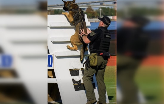 Deputy Adams and K9 Mak Represent Clay County with Pride at Jacksonville K9 Obstacle Course Competition