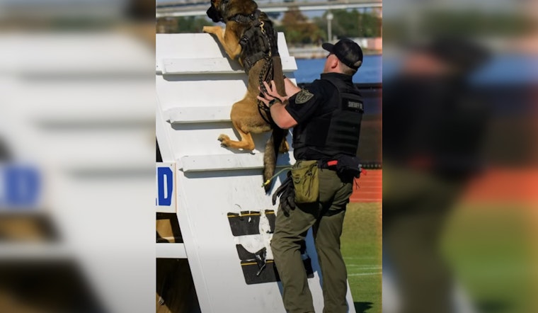 Deputy Adams and K9 Mak Represent Clay County with Pride at Jacksonville K9 Obstacle Course Competition