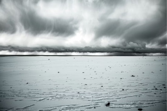 Detroit Braces for Mixed Rain and Snow as Late Autumn Weather Fluctuates