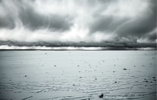 Detroit Braces for Mixed Rain and Snow as Late Autumn Weather Fluctuates