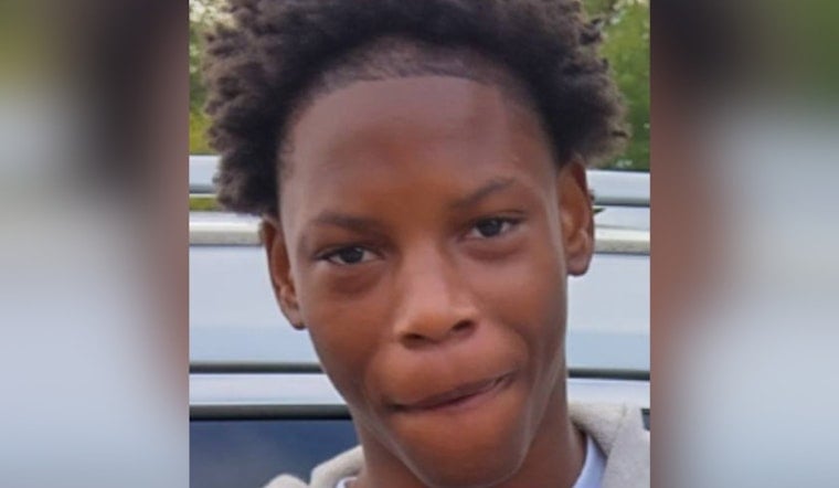 Detroit Police Seek Public's Assistance in Locating Missing 13-Year-Old Boy Daieon Lee
