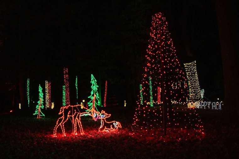 Downtown Lawrenceville Embraces Holiday Spirit with 38th Annual Tree Lighting and Atlanta Christkindl Market
