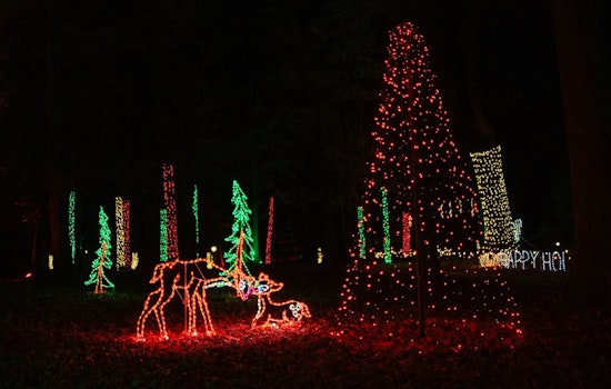 Downtown Lawrenceville Embraces Holiday Spirit with 38th Annual Tree Lighting and Atlanta Christkindl Market